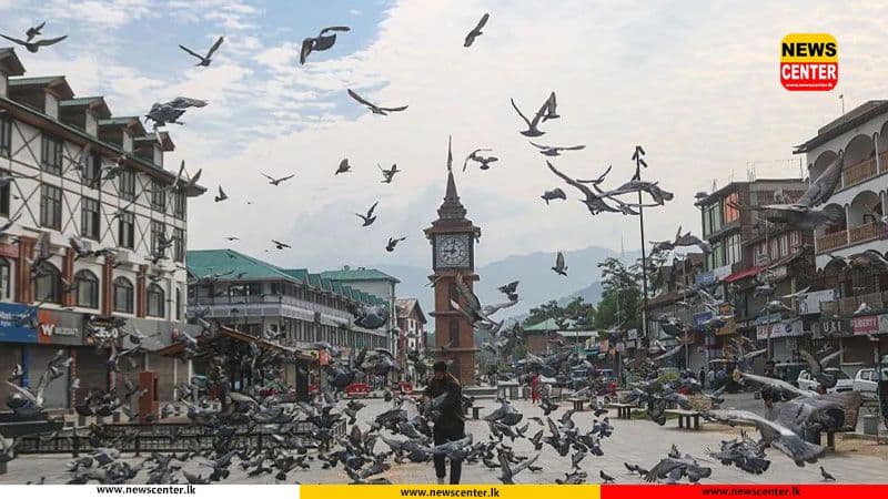 ඉන්දීය නගර කිහිපයක, පරෙවියන්ට ආහාර දීම තහනම් කෙරේ
