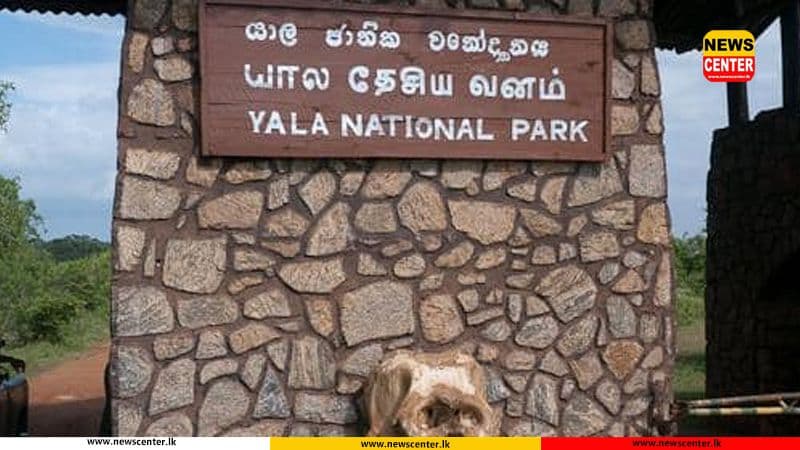වසා දැමූ වනජීවී ජාතික උද්‍යාන හෙට සිට විවෘතයි