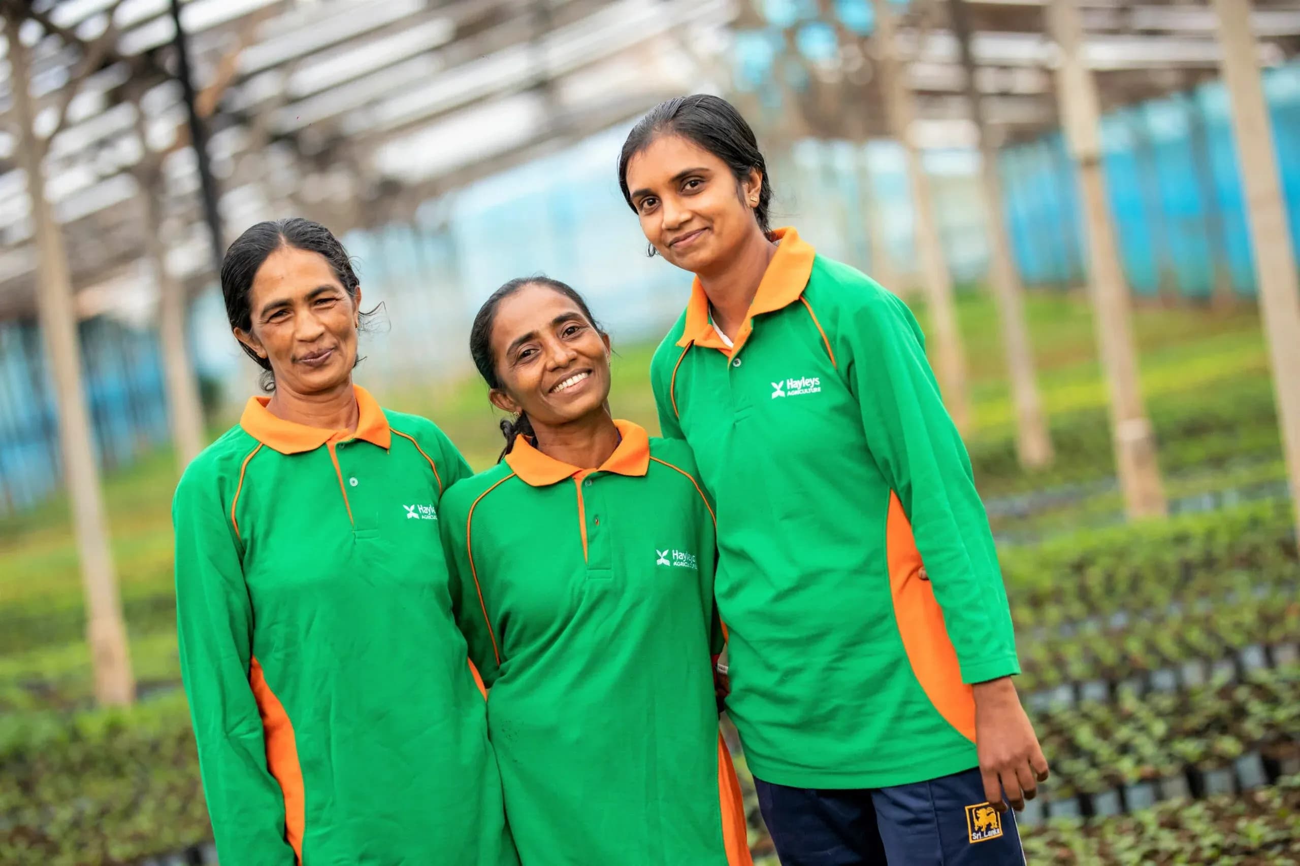 Hayleys ends FY25 with record Rs.492bn revenue