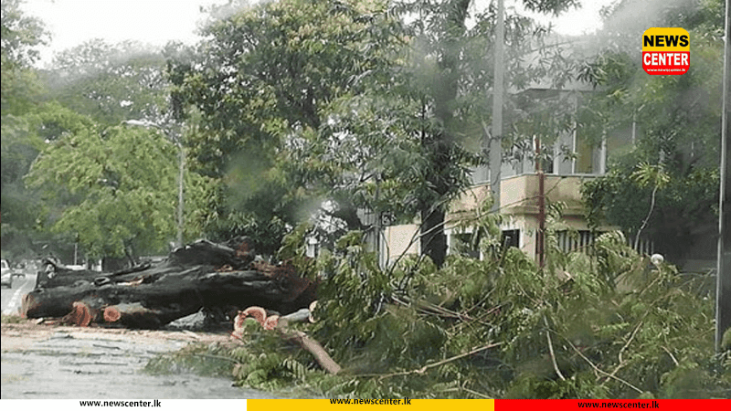 අනුරාධපුර ප්‍රදේශ කිහිපයකට තද සුළං තත්වයක් - නිවාසවලට අර්ධ හානි  