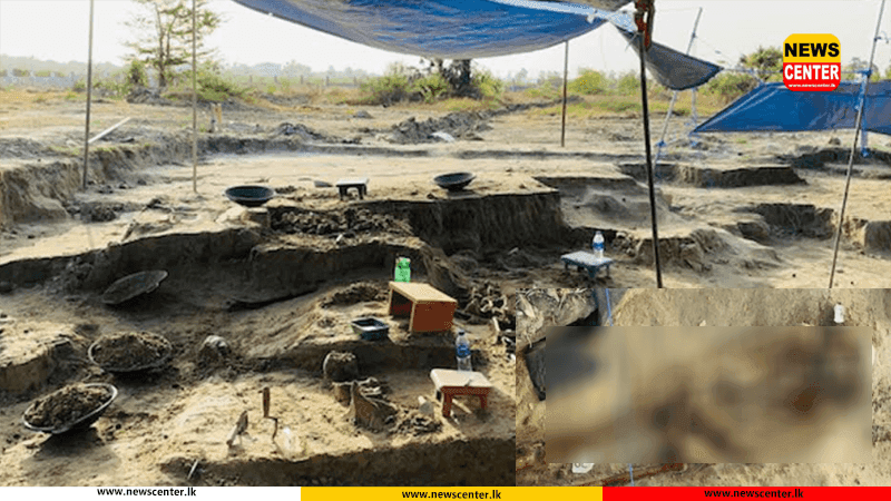 Justice Ministry Releases Funds to Continue Dig at Chemmani Mass Grave Where 241 Skeletons Were Found